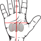 CarpalAID Hand Position Final | BlueShak Store